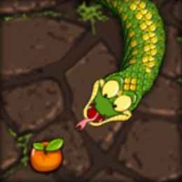 Snake Raid Snake Raid